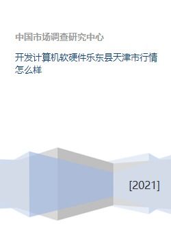 开发计算机软硬件乐东县天津市行情怎么样