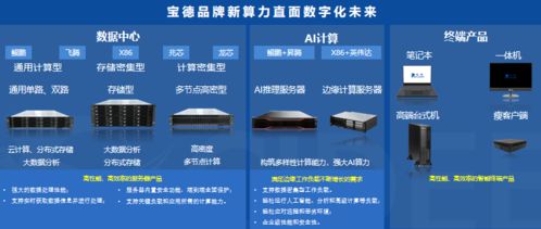 达梦数据库 宝德计算机丨共建繁荣国产软硬件生态圈