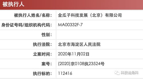 瓜子二手车成被执行人,执行标的超11万元