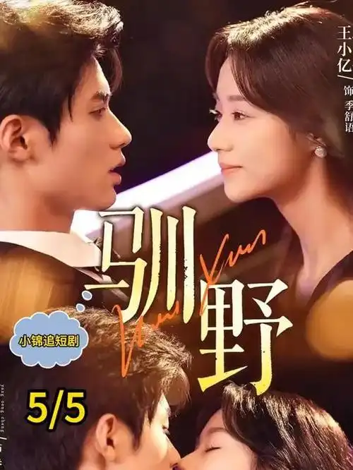 异界修仙 电视剧 2026